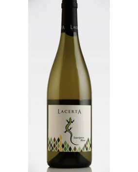 Lacerta Sauvignon Blanc 2023 | Lacerta Winery | Dealu Mare